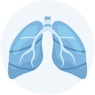 Abstract anatomical drawing of a pair of lungs
