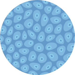 illustration of epithelioid cells