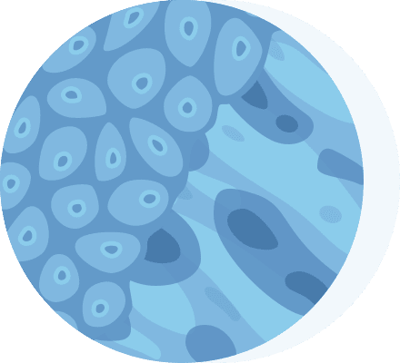 illustration of biphasic cancer cells